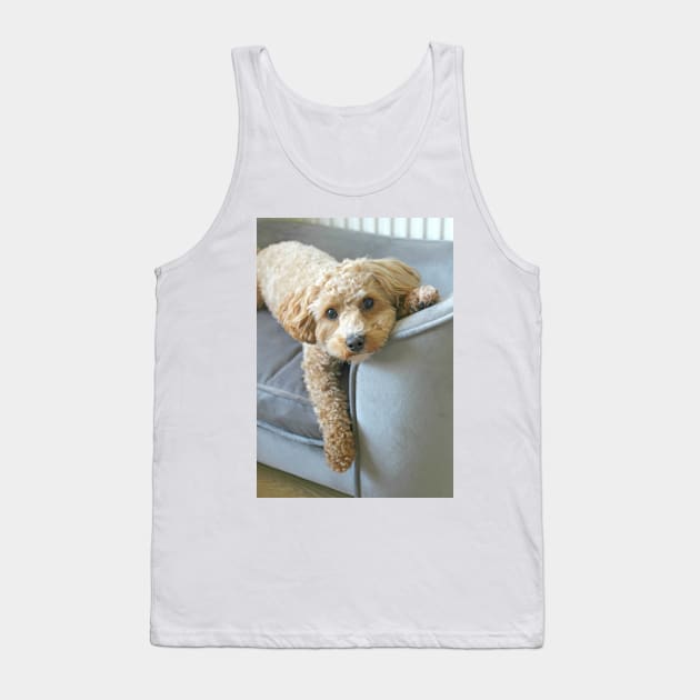 It's a Maltipoo Thing... Tank Top by Furtographic